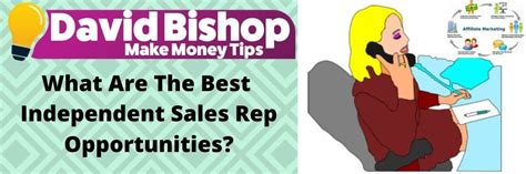 independent sales reps